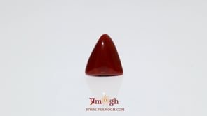 Red Coral - 5.7 Carat