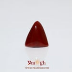 Red Coral - 5.7 Carat