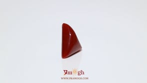 Red Coral - 5.95 Carat