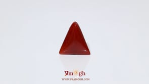 Red Coral - 6.05 Carat