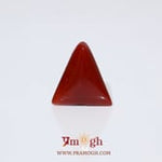 Red Coral - 6.05 Carat