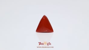 Red Coral - 5.05 Carat