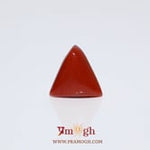 Red Coral - 5.05 Carat