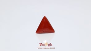 Red Coral - 5.4 Carat