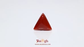 Red Coral - 6.1 Carat