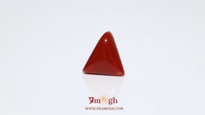 Red Coral - 5.95 Carat