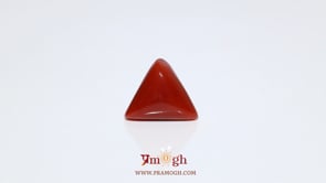 Red Coral - 6.05 Carat
