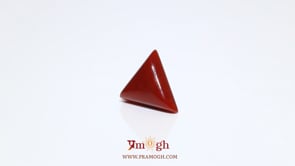 Red Coral - 5.25 Carat