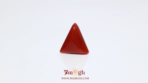 Red Coral - 5.3 Carat
