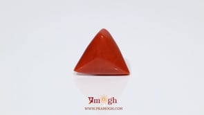 Red Coral - 9.55 Carat