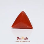 Red Coral - 9.55 Carat