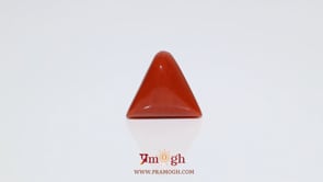 Red Coral - 8.5 Carat