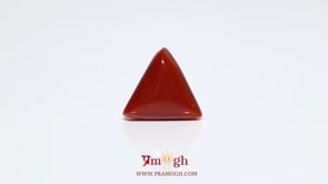 Red Coral - 8.25 Carat
