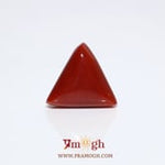 Red Coral - 8.25 Carat