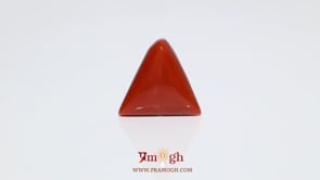 Red Coral - 10.7 Carat