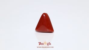 Red Coral - 8.5 Carat