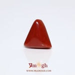 Red Coral - 8.5 Carat