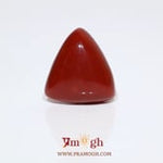 Red Coral - 15.95 Carat