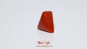 Red Coral - 12.15 Carat