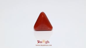 Red Coral - 8.25 Carat