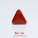 Red Coral - 8.25 Carat