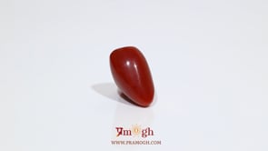 Red Coral - 9.65 Carat