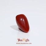 Red Coral - 9.65 Carat