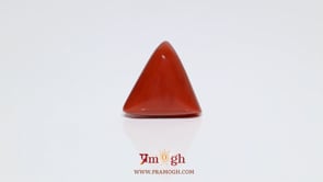 Red Coral - 10.85 Carat