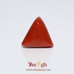 Red Coral - 10.85 Carat