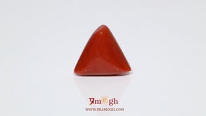 Red Coral - 14.35 Carat