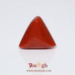 Red Coral - 14.35 Carat