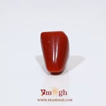 Red Coral - 11.35 Carat