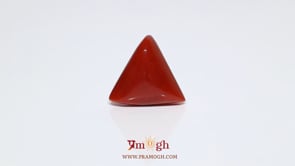 Red Coral - 10.6 Carat