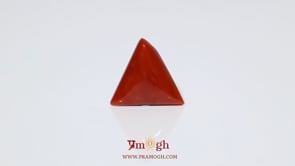 Red Coral - 8 Carat