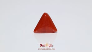 Red Coral - 9.1 Carat