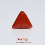 Red Coral - 9.1 Carat