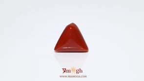 Red Coral - 9.25 Carat