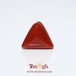 Red Coral - 9.25 Carat