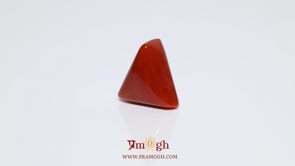 Red Coral - 9.3 Carat