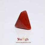 Red Coral - 9.3 Carat