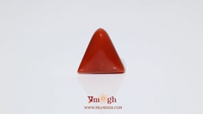 Red Coral - 8.35 Carat