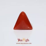 Red Coral - 8.35 Carat