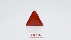 Red Coral - 8.35 Carat
