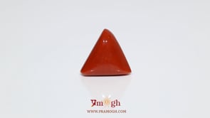 Red Coral - 9.35 Carat