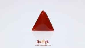 Red Coral - 7.9 Carat