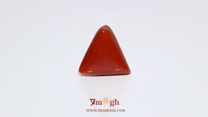 Red Coral - 9.65 Carat