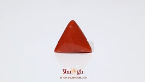 Red Coral - 8.7 Carat