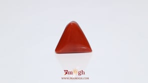 Red Coral - 9.55 Carat