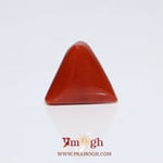 Red Coral - 9.55 Carat