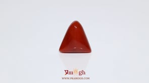 Red Coral - 8.4 Carat